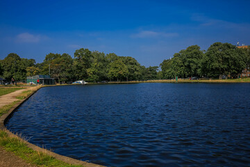 Fototapeta na wymiar Clapham Park Pond