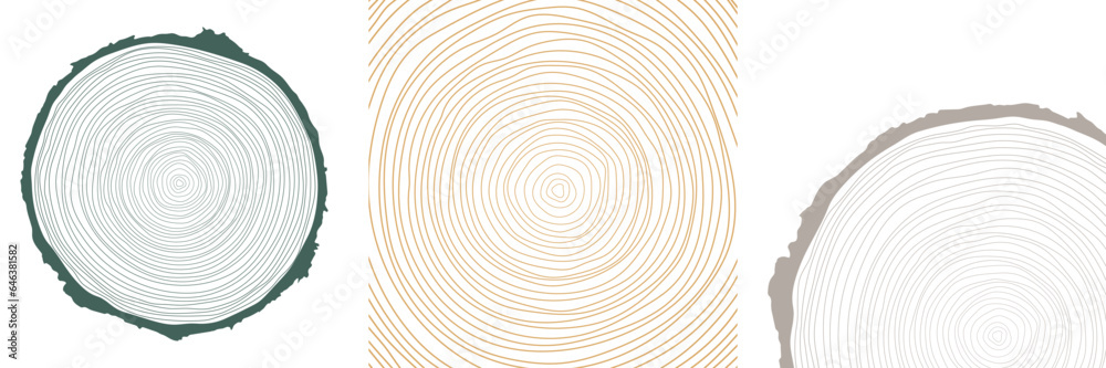 Wall mural vector illustration of a hand-drawn, wavy concentric tree ring pattern with an editable stroke, crea