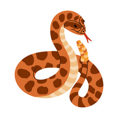 Fototapeta premium Hand drawn snake with rattle clipart. Jungle or zoo rattlesnake standing in action with tongue out. Tropical or Wild West poison viper in front view. Vector wildlife concept. Green dangerous serpent.