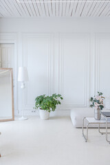 interior of a bright living room in a luxurious baroque style with white walls decorated with antique stucco