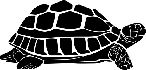Desert Tortoise icon 2