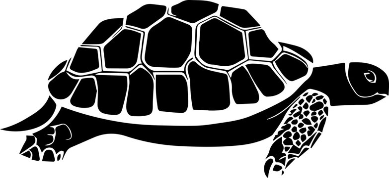 Desert Tortoise icon 1