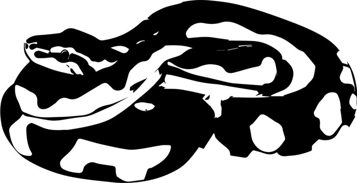 Desert Ghost Ball Python icon 2