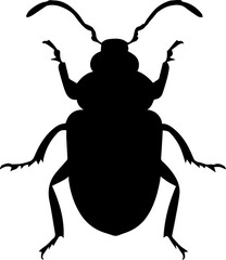 Darkling Beetle icon 3