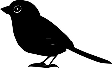 Dark-Eyed Junco icon 1