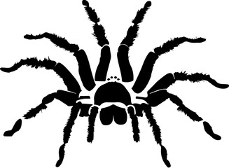 Curly Hair Tarantula icon 2