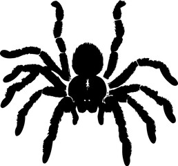 Curly Hair Tarantula icon 3
