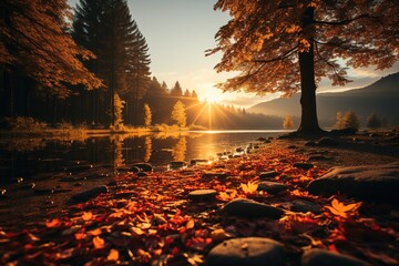 Fall Landscape