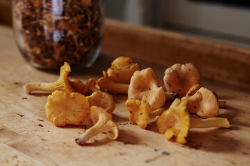 chanterelle on a rustic table mushroom picking season is on, beautiful tasty chanterelles on a worn out table. Autumn pick from the woods season.