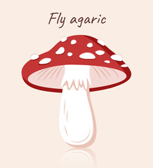The fly mushroom. Fly agaric. 