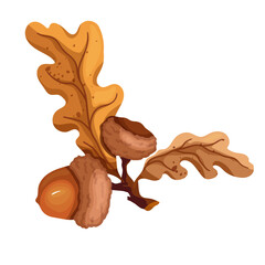 Autumn oak tree branch with acorns.Vector graphics.