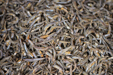 Dried fish on a food market in Thailand.