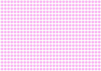 12枚花びらピンク小