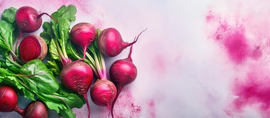Beetroot alone isolated pastel background Copy space