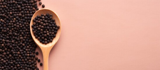 Black peppercorn isolated pastel background Copy space spoon isolated from above