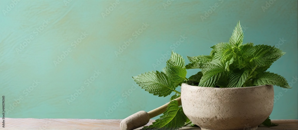 Canvas Prints A closeup image of dried nettle in a mortar with pestle isolated on a isolated pastel background Copy space