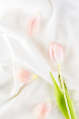Pink tulip flower with petals on light silk, vertical orientation, top view.