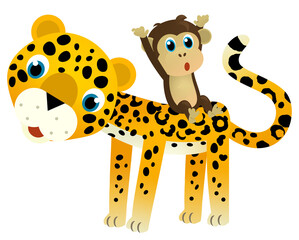 cartoon scene with happy tropical animal cat jaguar cheetah with other animal on white background illustration for children