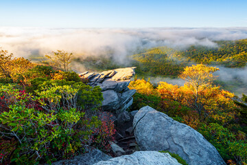 Rough Ridge Lookout , Blue Ridge Parkway, North Carolina in fall season.