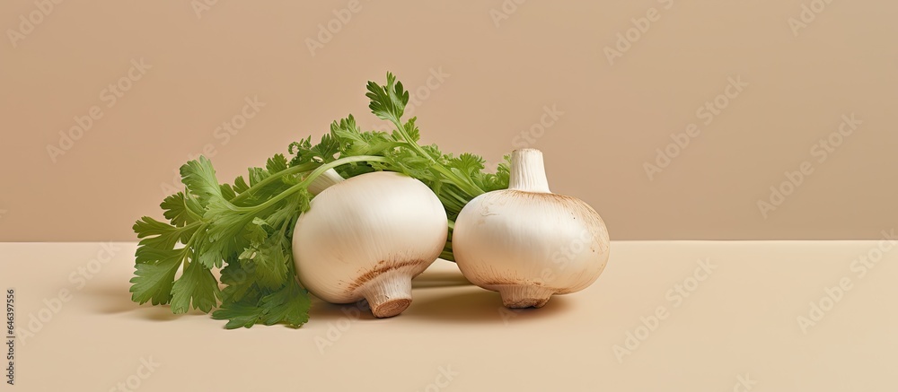 Poster closeup of champignon mushrooms with parsley on isolated pastel background copy space