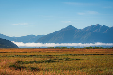 Fototapeta premium Potter Marsh Bird Sanctuary, Alaska in fall season with blue sky background .