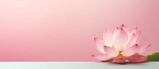 Fotobehang A pink lotus flower blooming in the dark isolated pastel background Copy space © HN Works
