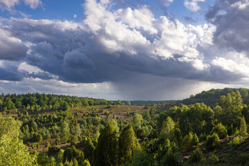 Fototapeta na wymiar Stürmische Regenwolken über dem Totengrund zur Heideblüte.
