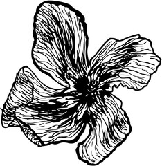 black and white sketch of flower
