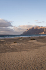 White sand beach. Golden sunset on Famara beach. Cliff and ocean in the background. Desert plants and sand dunes. Sky with white clouds. Caleta de Famara.Lanzarote, Canary Islands, Spain.