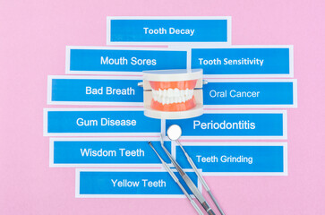 The Dentures model with dental disease on pink color background.