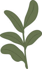 Vector Leaf Illustration Element