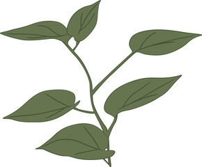 Vector Leaf Illustration Element