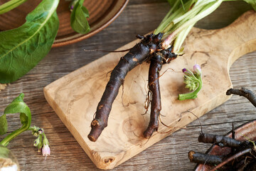 Comfrey or Symphytum root on a wooden table