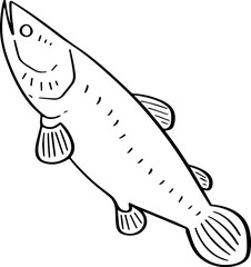 cartoon fish illustration.