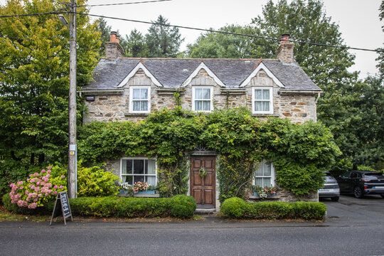 Ireland, Clonegall - August 31 2023 "Huntington Castle and Gardens in Clonegall town"