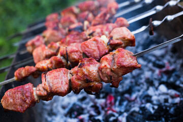 Juicy cuts of meat are grilled on grill. Outdoor recreation concept