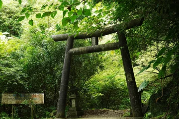 Badkamer foto achterwand Torii Gate at Kijoka Seven Falls in Okinawa - 沖縄 大宜味 喜如嘉の七滝 鳥居 © Eric Akashi