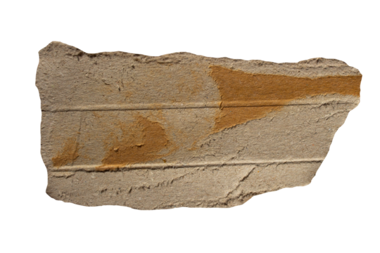 Torn cardboard paper piece on transparent background. Ripped paper label png.