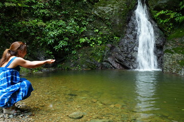Fototapeta na wymiar Kijoka Seven Falls in Okinawa - 沖縄 大宜味 喜如嘉の七滝