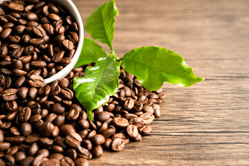 Coffee brown bean medium roasted with fresh green leaf.