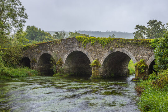 Ireland, Clonegall - August 31 2023 "Huntington Castle and Gardens in Clonegall town"