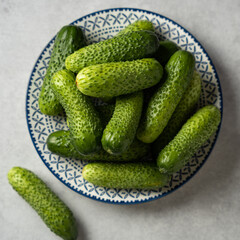 Fresh cucumbers on a plate, light gray stone background, square format