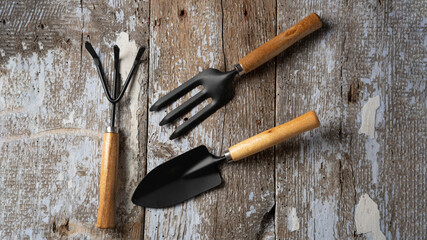 Set of garden tools for caring for plants in the garden, old wooden background, horizontal format