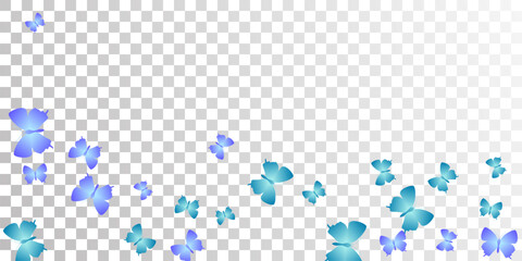 Tropical blue butterflies cartoon vector wallpaper. Summer pretty moths. Detailed butterflies cartoon kids background. Tender wings insects patten. Tropical beings.