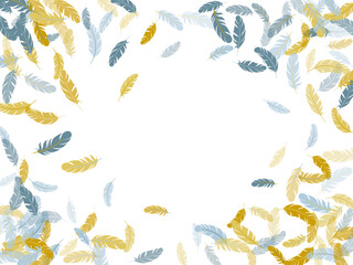 Falling feather elements soft vector design.