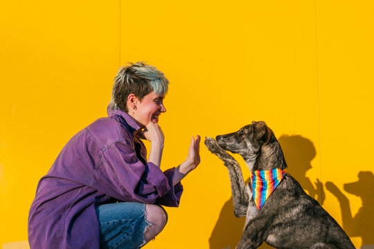 Happy lesbian woman giving high-five to dog in front of yellow wall