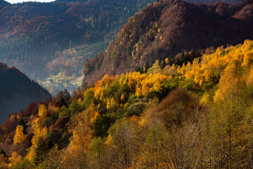 Romania is home to stunning natural landscapes, and autumn is an excellent time to explore its national parks and nature reserves. The Carpathian Mountains,