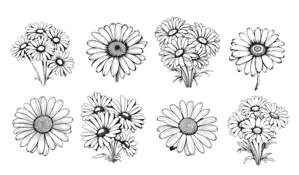 collection of hand drawn flowers and herbs isolate on white background.