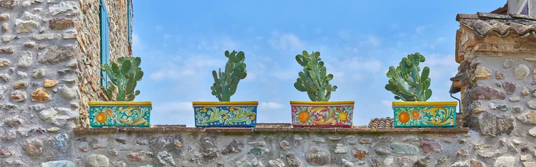 Rolgordijnen Typical garden wall in Tuscany, with beautiful cacti as wall decoration. © Composer