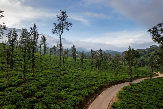 Wayanad Vector Wayanad Images – Browse 1,393 Stock Photos, Vectors, and Video | Adobe ...